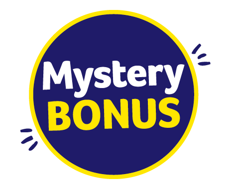 What Is A Mystery Bonus Winn Dixie